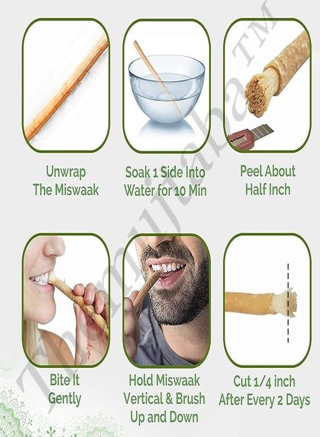TheMujtaba Miswak Natural Teeth Cleaning Stick with Holder, Salvadora Persica Root, Manual Toothbrush Alternative, Pack of 2 - Image 4