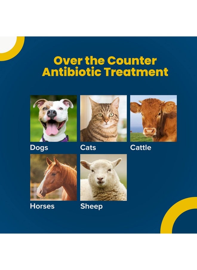 Terramycin - Antibiotic Ointment For Eye Infection Treatment In Dogs, Cats, Cattle, Horses, And Sheep, 0.125Oz Tube - Image 1