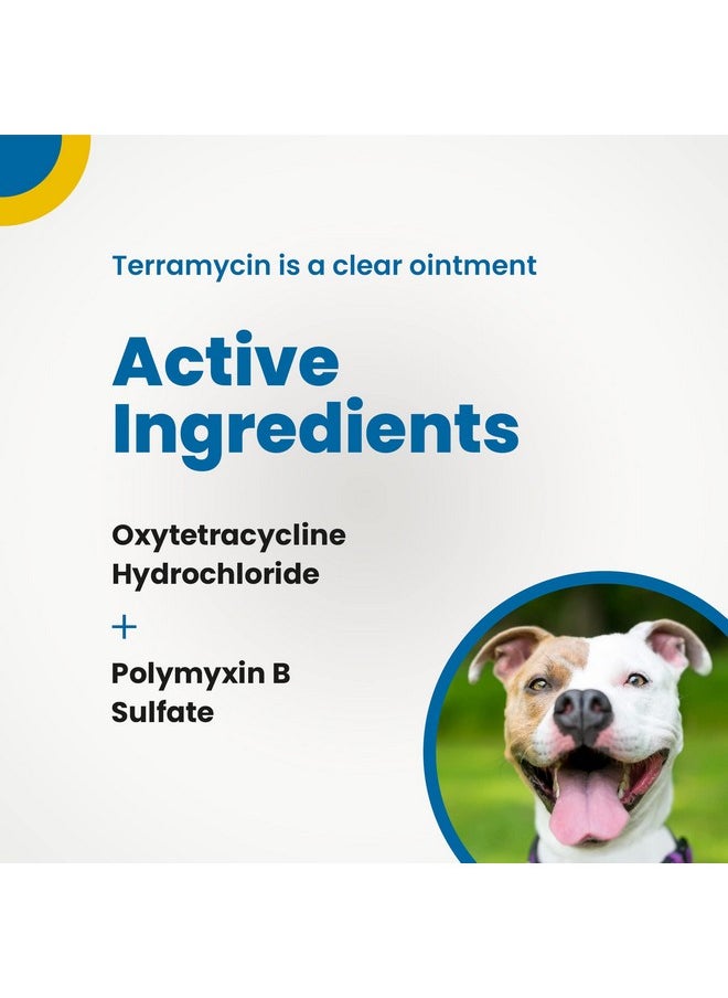 Terramycin - Antibiotic Ointment For Eye Infection Treatment In Dogs, Cats, Cattle, Horses, And Sheep, 0.125Oz Tube - Image 1