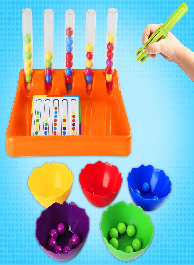 Broytain Counting and Color Sorting Toys for Toddlers,Math Manipulatives Match Games Educational Learning Fine Motor Skills,STEM Preschool Kindergarten Learning Activities - Image 4
