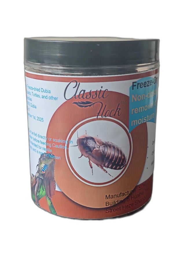 Classic Flock 2oz Freeze-Dried Dubia - High Protein Reptile & Amphibian Food - Image 1