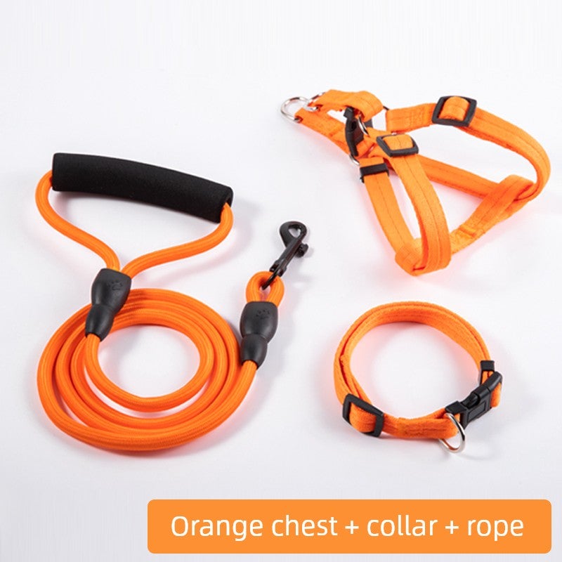 Dog leash Medium-sized small dog Puppy walking leash Dog leash Cat collar Teddy Golden Retriever Pet supplies - Image 2