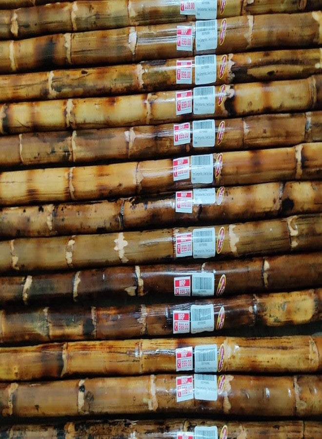 TryMe Silambam ® Silambam Cane Wood Natural Bo Staff Rattan 4feet Stick Pack of 2 - Image 3