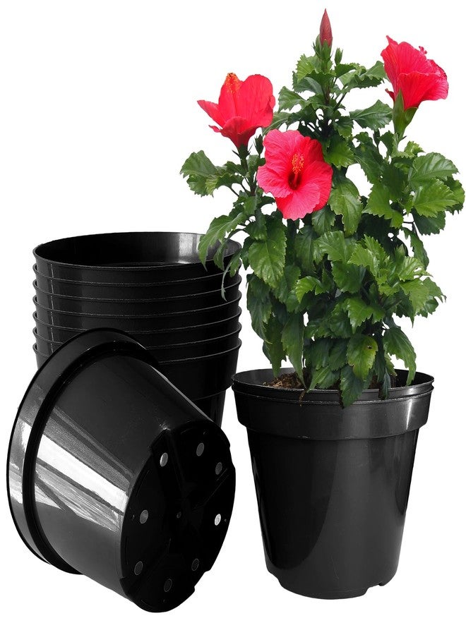 RooTrimmer 10 Pack Plant Planter, 10 Inch Thick Plant Pots with Multiple Drainage Holes, Pots for Plants Such as Herbs Strawberry and Flowers, Black - Image 1