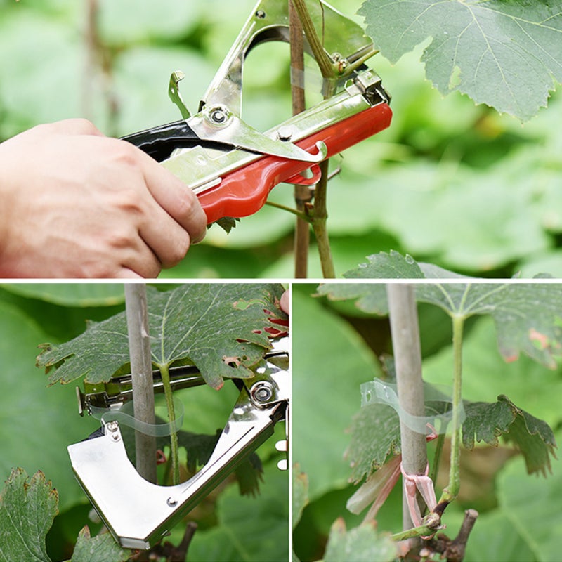 Metal Plant Ties: 10000-Piece Durable Construction - Effortless Securing Garden Fasteners for Extensive Gardening Projects & Fruit Vegetable Tree Binding - Image 3