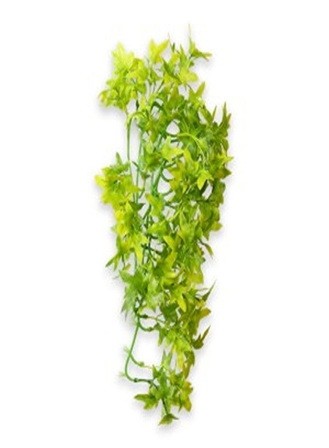 هوبي متسلق اللبلاب 37 سم