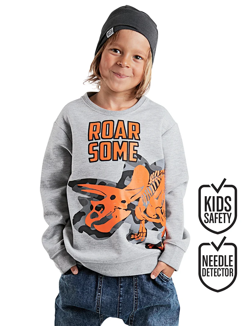 Denokids Roar Dino Boy Grey Sweatshirt