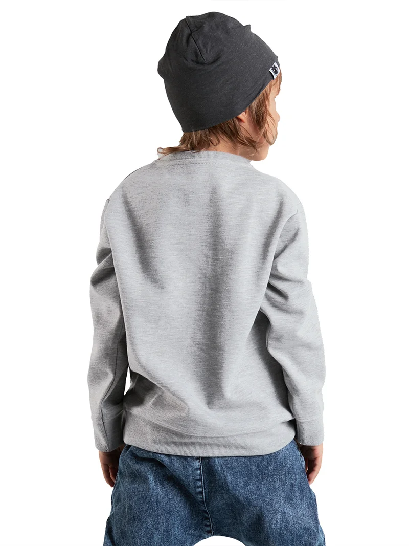 Denokids Roar Dino Boy Grey Sweatshirt
