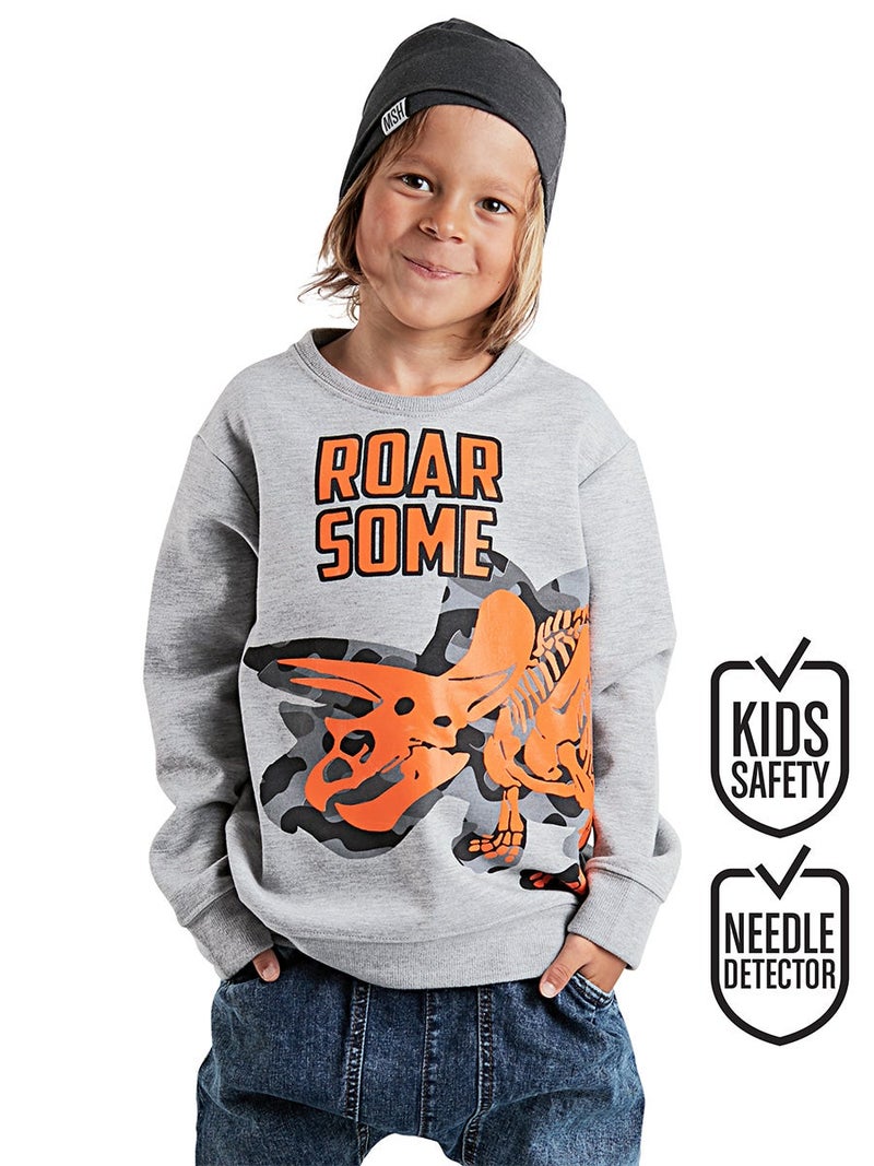 Denokids Roar Dino Boy Grey Sweatshirt - Image 1