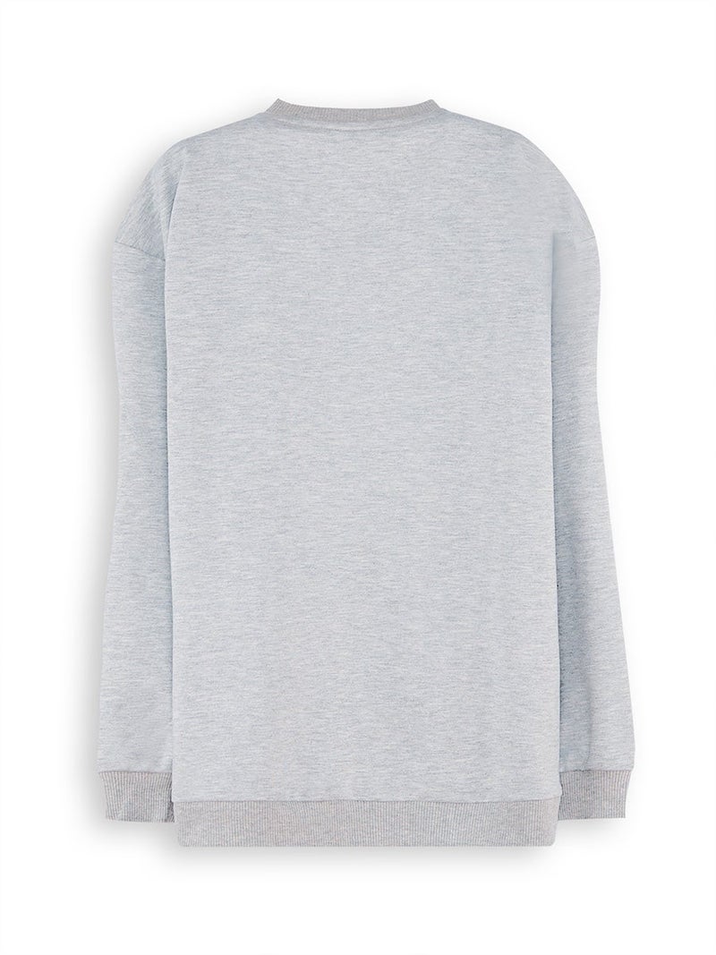 Denokids Roar Dino Boy Grey Sweatshirt - Image 4