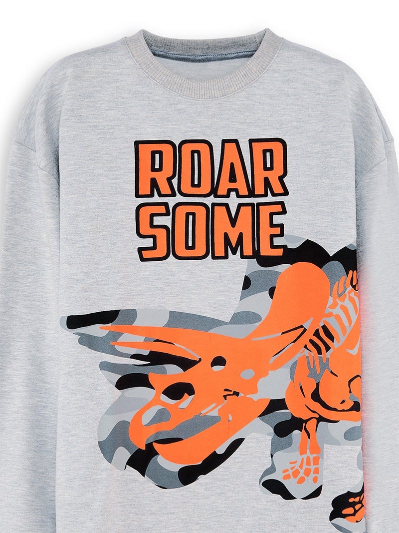 Denokids Roar Dino Boy Grey Sweatshirt - Image 5