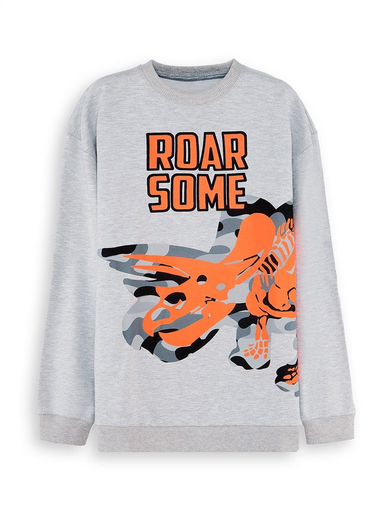 Denokids Roar Dino Boy Grey Sweatshirt - Image 3