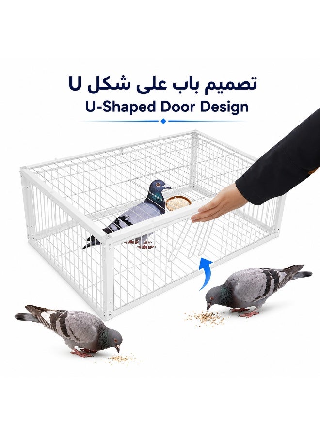 Large Pigeon Trap Cage 70 × 40 × 26 cm, Metal Bird Catcher Cage with 4 One-Way Entry Doors & Top Access Door, Escape-Resistant Live Bird Cage for Pigeons, Doves, Sparrows, Quails, Finches & Small Birds, for Balcony, Garden, Farm & Outdoor Use - Image 2