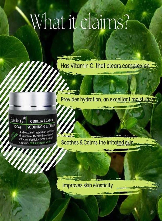 EcoBerry Centella Asiatica(CICA) Soothing Gel Cream with Centella Asiatica | Organic Moisturizer for Acne-Prone & Sensitive Skin | Non-Comedogenic & Chemical Free | Vegan & Cruelty-Free | 50g - Image 3