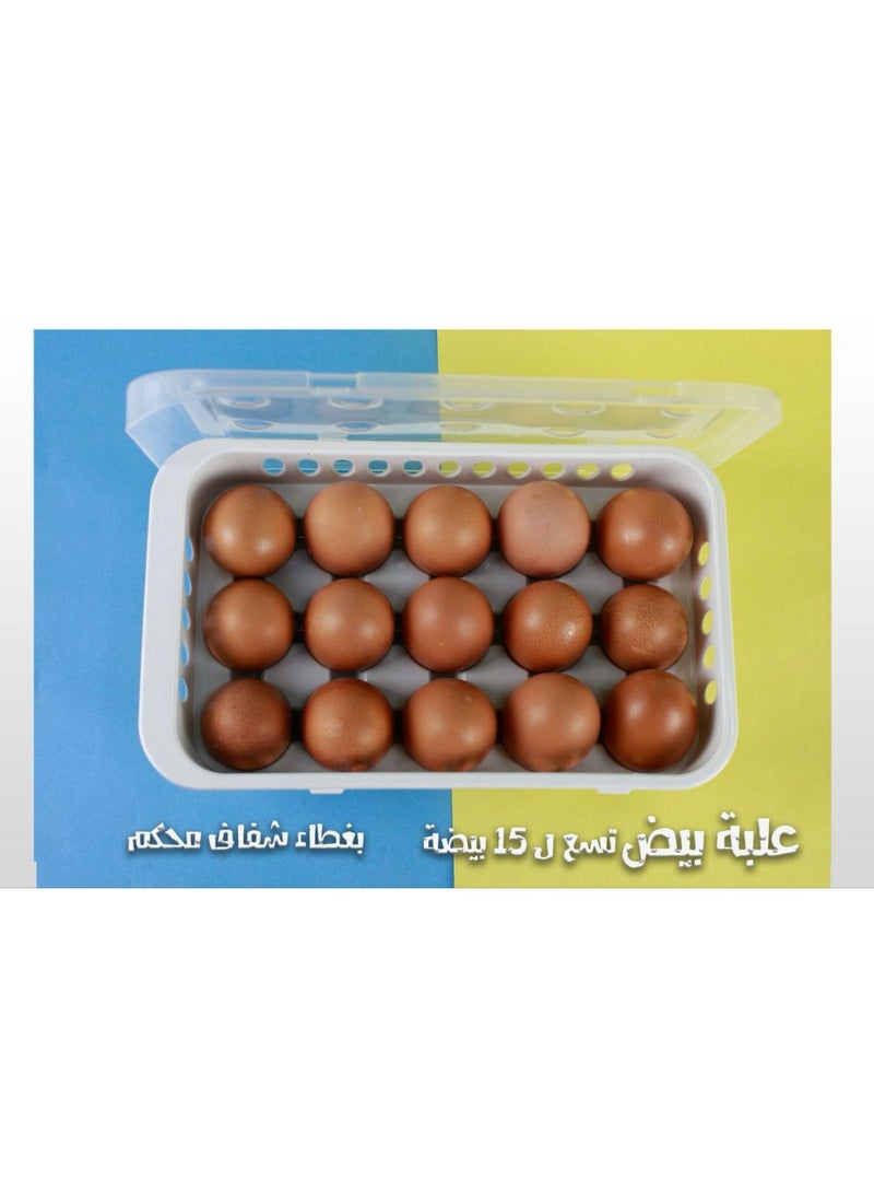 15-Egg Storage Container – Plastic Egg Holder - Image 1