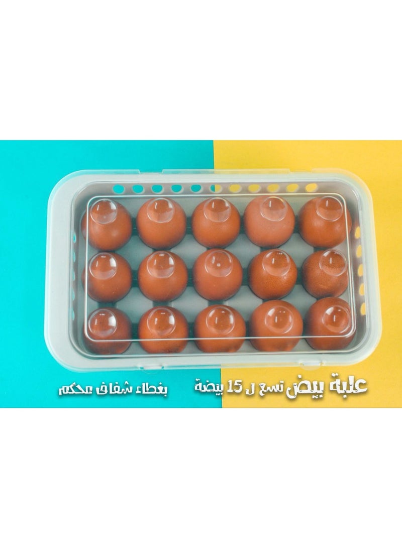 15-Egg Storage Container – Plastic Egg Holder - Image 2