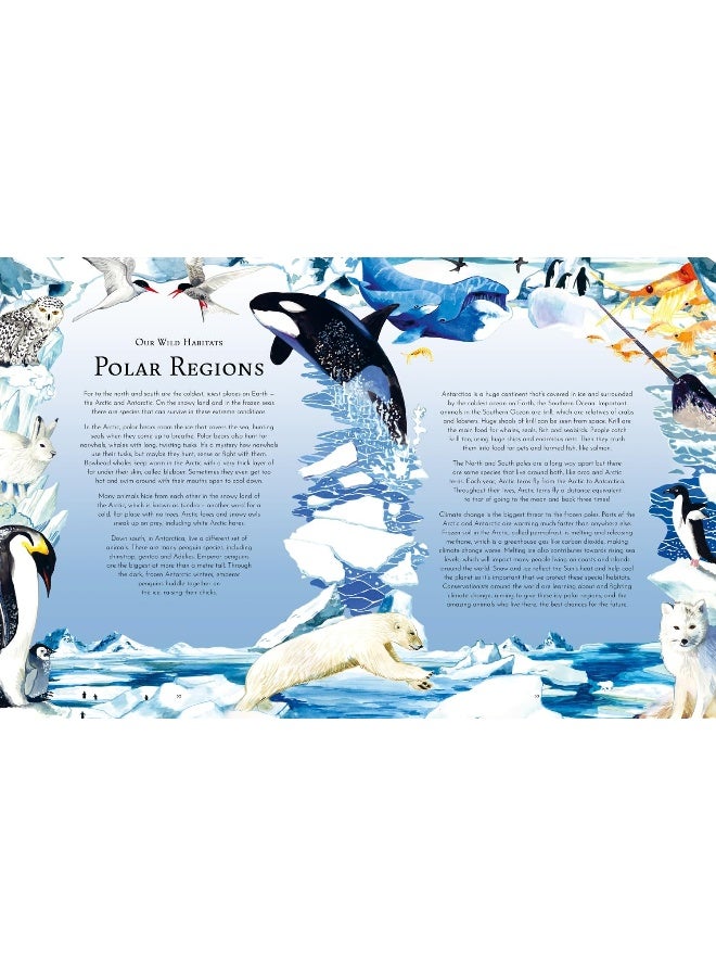 Return of the Wild: 20 of Nature's Greatest Success Stories - Image 5