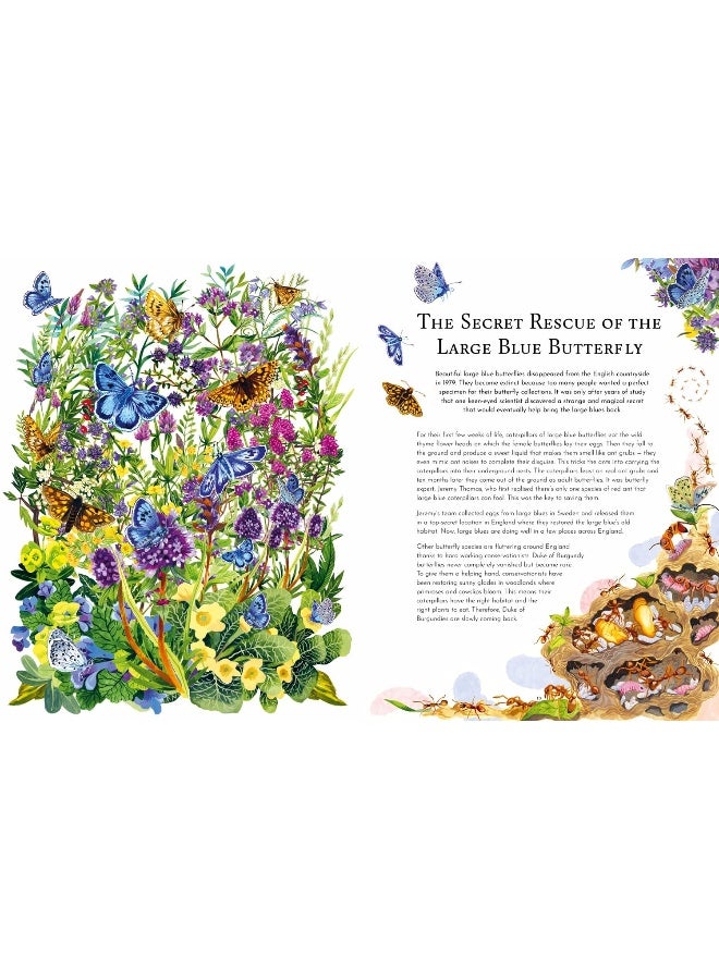 Return of the Wild: 20 of Nature's Greatest Success Stories - Image 2