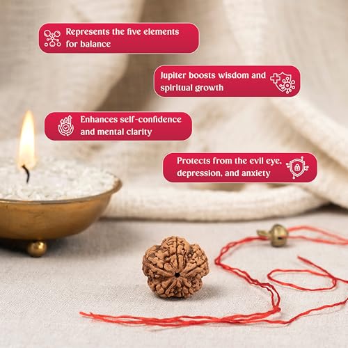 GEMSMANTRA 5 Mukhi Rudraksha Without Silver Pendant Original Nepali, Regular Size Without Silver Pendant, Natural and Lab Certified, Helps to Improve Self Confidence, Spiritual Growth and Negative Energies for Mens & Women - Image 5