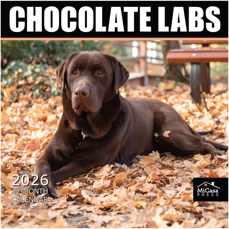 MICASA PRESS Chocolate Labs 2026 Wall Calendar 12 Month | 12" x 24" Open | Thick & Sturdy Paper | Holiday Gift | Cute Labrador Retriever Puppy Dog Calendar 2026 - Image 1