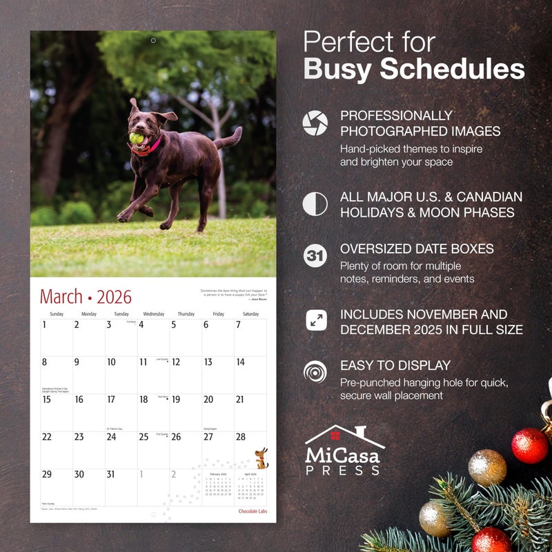 MICASA PRESS Chocolate Labs 2026 Wall Calendar 12 Month | 12" x 24" Open | Thick & Sturdy Paper | Holiday Gift | Cute Labrador Retriever Puppy Dog Calendar 2026 - Image 2