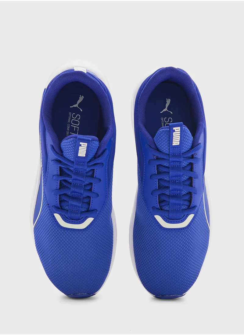 PUMA Lex