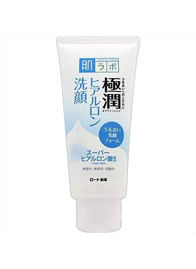 Rohto Gokujun Hyaluronic Face Wash - 100g, White, 3.52 Ounce (Pack of 1) - pzsku/Z82DDEE90F5313B67A005Z/45/_/1681073099/5fed2f7d-2790-46bf-840b-a5faa5eee621