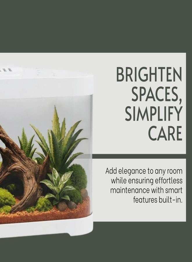 Rizopets Premium Round Fish Aquarium Tank, Complete Setup with Lid, LED Light & Filter, Modern Round Design for Home & Office, White, Small - Image 5