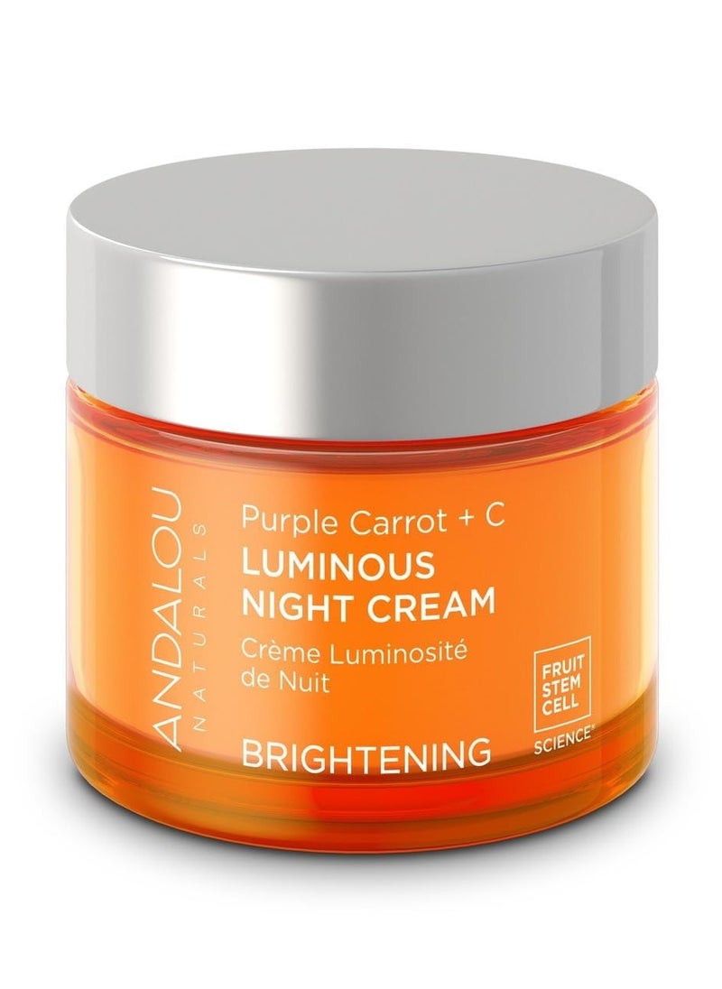 Andalou Natural Andalou Natural Purple Carrot + C Luminous Night Cream, Purple Carrot Plus C Luminous, 1.7 Ounce 