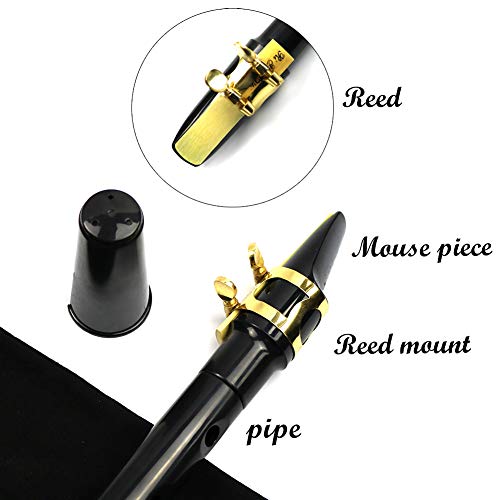 FOVERN1 Pocket Saxophone Kit, FOVERN1 Mini Sax Portable Woodwind Instrument Professional instruments with 4 Reeds, 8 Dental pad, Fingering Charts, Carrying Bag for Amateurs and professional performers (black) - Image 4