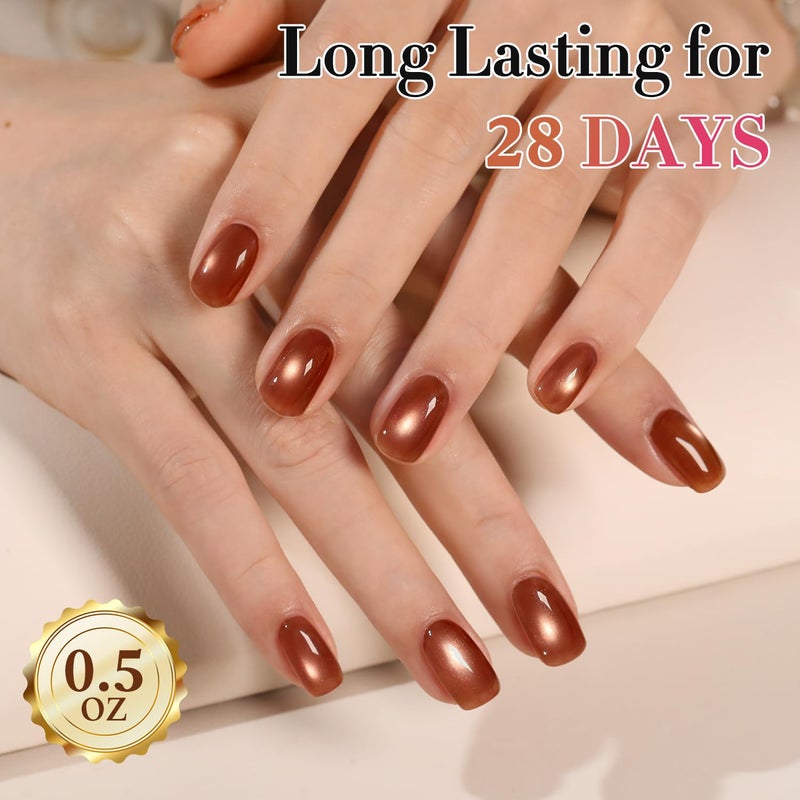 Double Rhythm Cat Eye Gel Polish with Magnet 15ML Holographic Glitter Shimmer Translucent Sheer Color Glass Brown Magnetic Gel Polish Salon DIY at Home (Fall Brown-MC1113) - Image 5