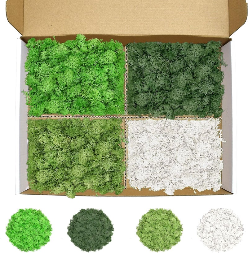 TCYPUHL 4 Colors 14 OZ Reindeer Moss, Preserved Moss for Plants, Moss Decor, Green Moss for Crafts(Green, Dark Green, Chartreuse and White, Each Color Weights 3.5 OZ) - Image 1