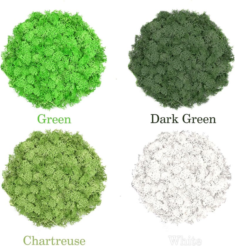 TCYPUHL 4 Colors 14 OZ Reindeer Moss, Preserved Moss for Plants, Moss Decor, Green Moss for Crafts(Green, Dark Green, Chartreuse and White, Each Color Weights 3.5 OZ) - Image 2