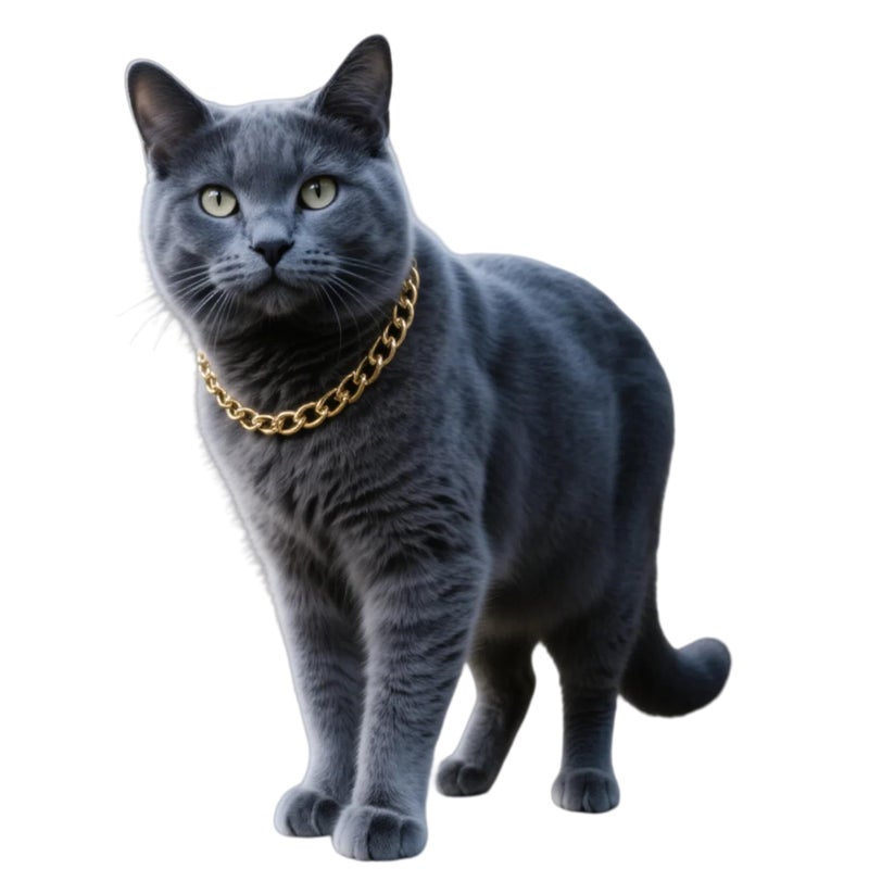 Cwyza Gold Cat Chain Collar,Adjustable Cuban Link Necklace for Cats, Lightweight & Durable Metal Pet Jewelry, Stylish Decorative Accessory (Gold, S) - Image 1