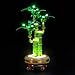 LocoLee Light kit Compatible with Lego Lucky Bamboo 10344 No Model Only Light LED Lighting Accessories Compatible with Lego Fortune Bamboo - Image 2