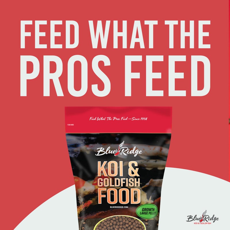 Blue Ridge Koi Fish Food 2lb - Koi Food Large 3/16" Growth Formula, Goldfish Food, Premium Fish Food for Ponds, Ponds Fish Food, Floating Pond Pellets - Image 3