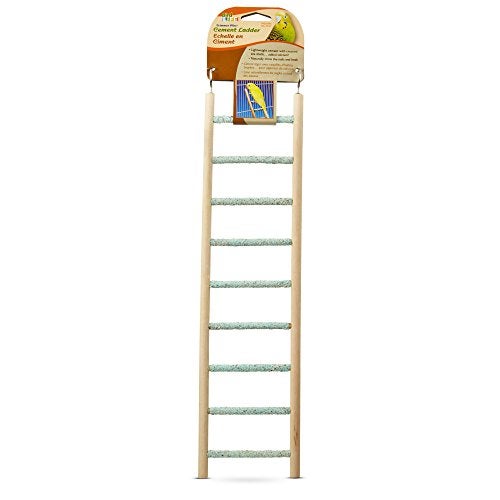 Penn Plax Penn-Plax Bird-Life Trimmer Plus Cement & Wood 9 Step Ladder – Cement Made from Crushed Sea Shells – Great for Small Birds (BA243) - Image 1