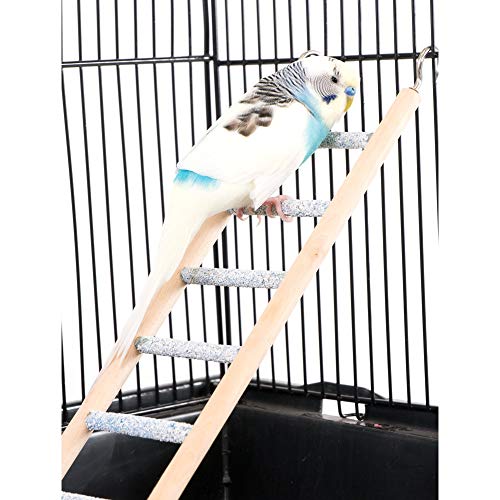 Penn Plax Penn-Plax Bird-Life Trimmer Plus Cement & Wood 9 Step Ladder – Cement Made from Crushed Sea Shells – Great for Small Birds (BA243) - Image 2