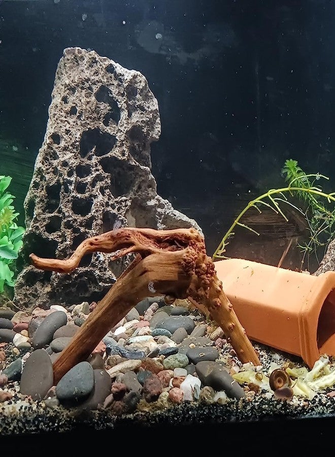 YZHZOM 8pcs Natural Small Spiderwood Driftwood for Aquarium Decor Aquarium Driftwood Freshwater Reptile Driftwood Aquarium spiderwood (spiderwood 5-6inch 8pcs) - Image 3