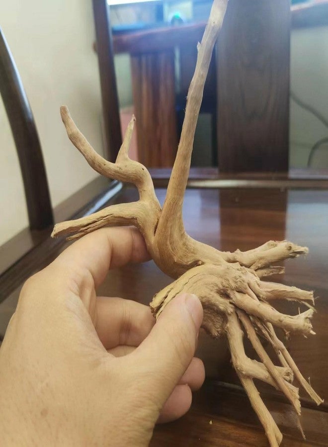 YZHZOM 8pcs Natural Small Spiderwood Driftwood for Aquarium Decor Aquarium Driftwood Freshwater Reptile Driftwood Aquarium spiderwood (spiderwood 5-6inch 8pcs) - Image 5