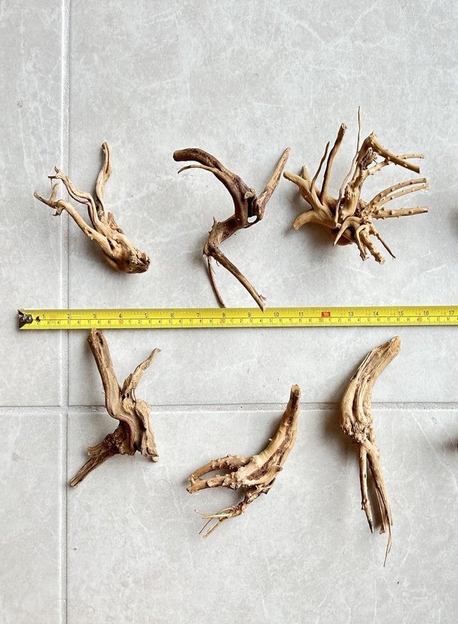 YZHZOM 8pcs Natural Small Spiderwood Driftwood for Aquarium Decor Aquarium Driftwood Freshwater Reptile Driftwood Aquarium spiderwood (spiderwood 5-6inch 8pcs) - Image 4