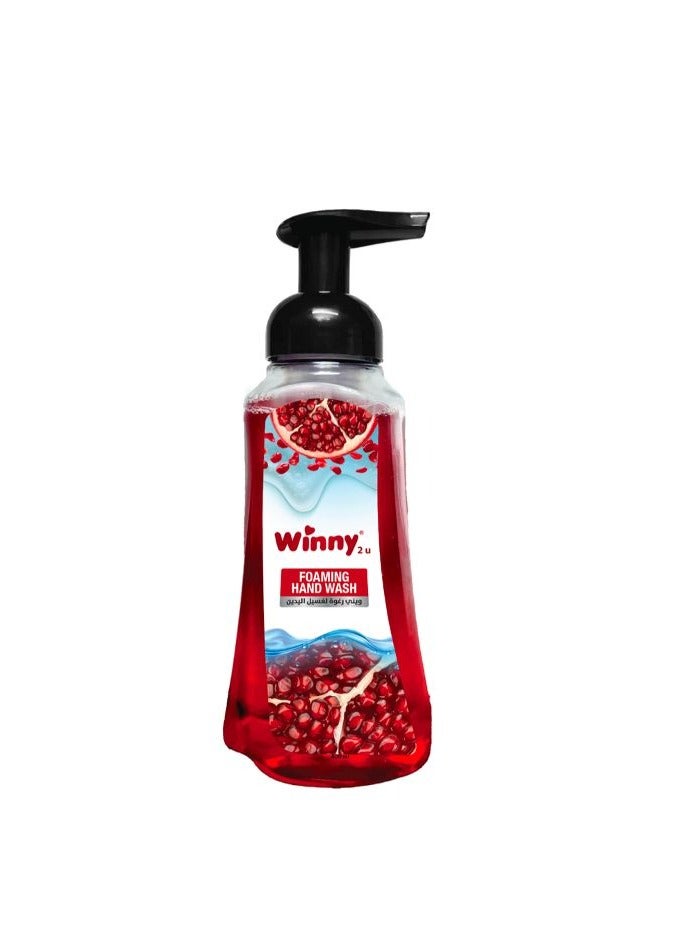 ويني رغوة غسيل الأيدي الرغوه 500 مل (رمان)