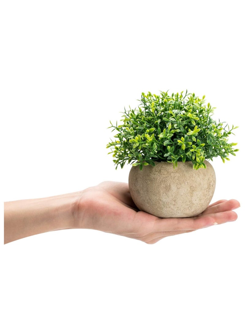 قطعتان صغيرتان من شجيرات البقس الاصطناعية، نباتات اصطناعية صغيرة، ديكور منزلي، ماغنوليا، مكتب، حجرة، مطبخ، رف كتب، غرفة نوم، حمام، حديقة زن، صبار. - Image 3