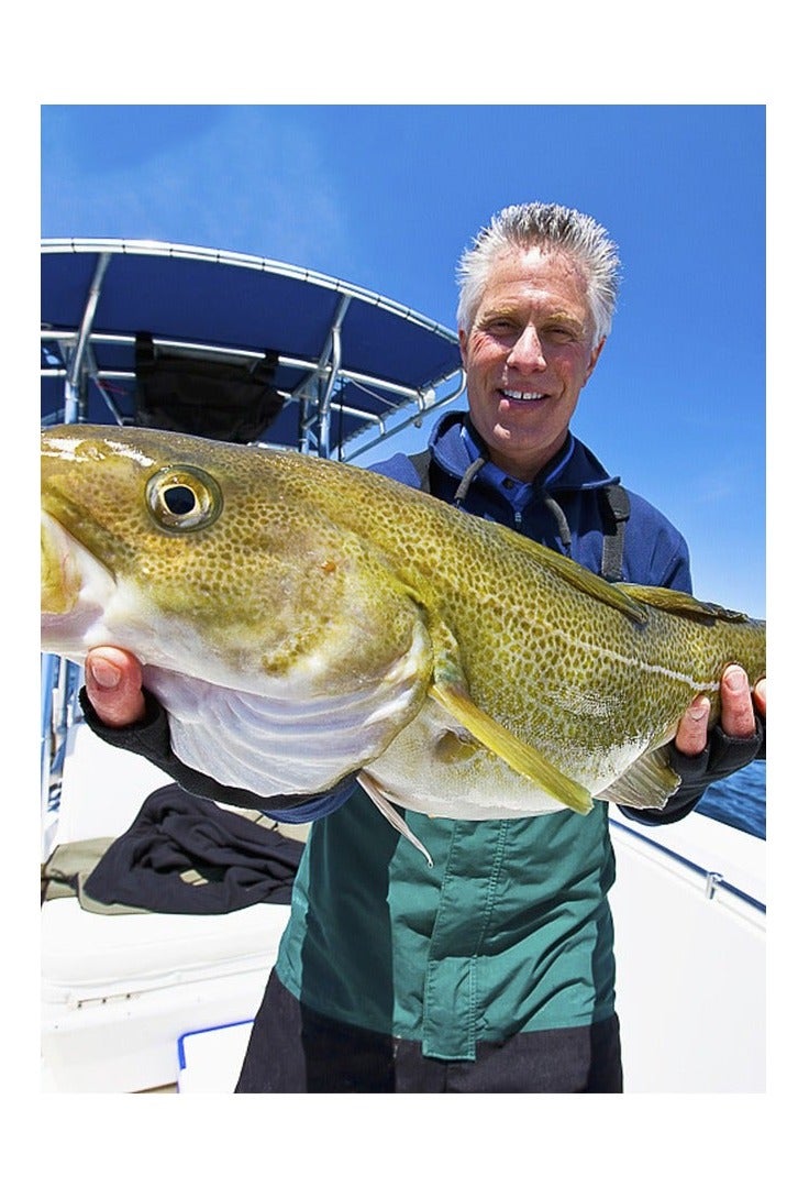 Arabest طقم طعوم صنارة صيد البحر الصلبة مع بكرة، صنارة صيد تلسكوبية محمولة مع طقم بكرة، مع حقيبة حمل، معدات صيد، طعوم صيد، طقم عمود البحر الكامل - Image 5