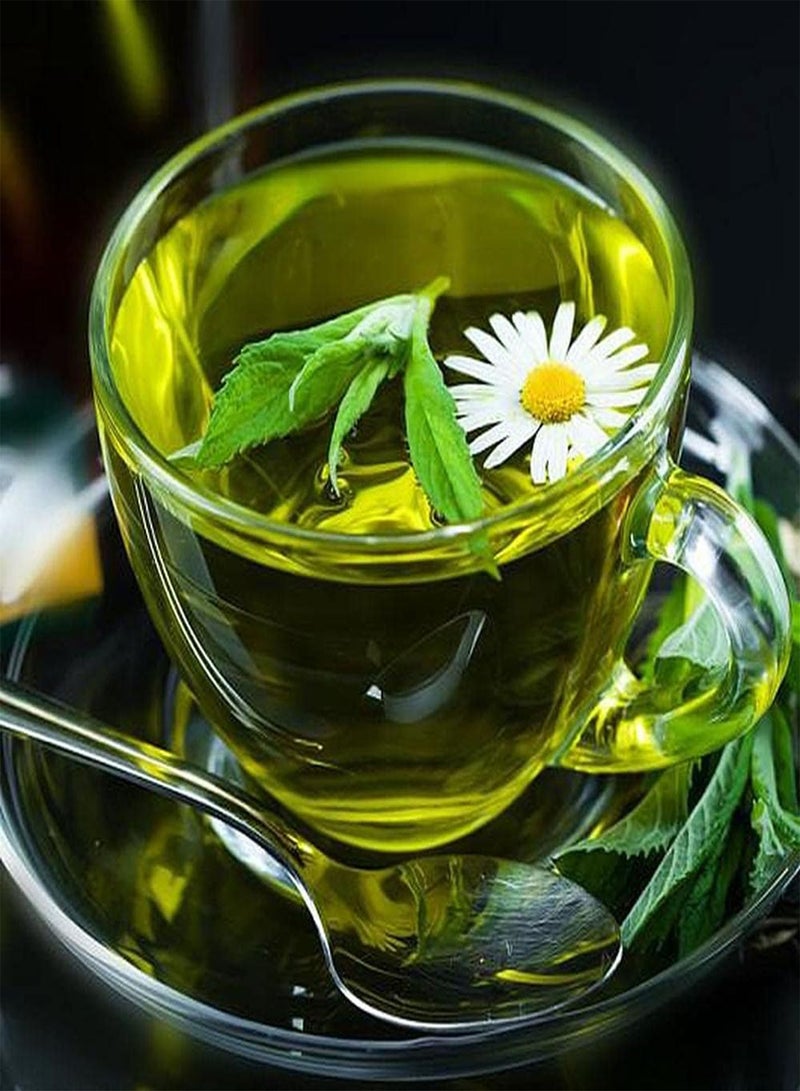 GGOOT 10Pcs Tea Tree Seeds Suitable Planted in Garden Green Space Ideal Garden Varieties for Landscaping and Design Planting in Pieces Form A Landscape - Image 3