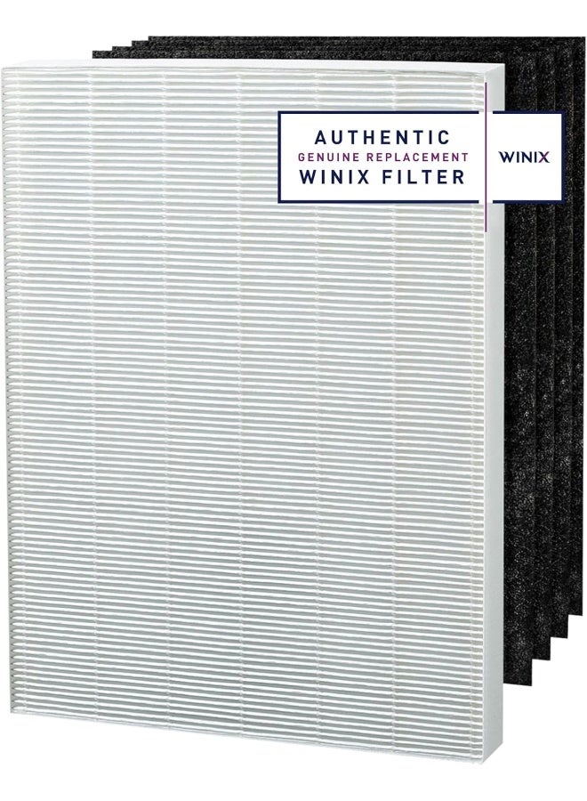 Winix Genuine Winix 113250 Replacement Filter E for P450, White/Black - Image 1