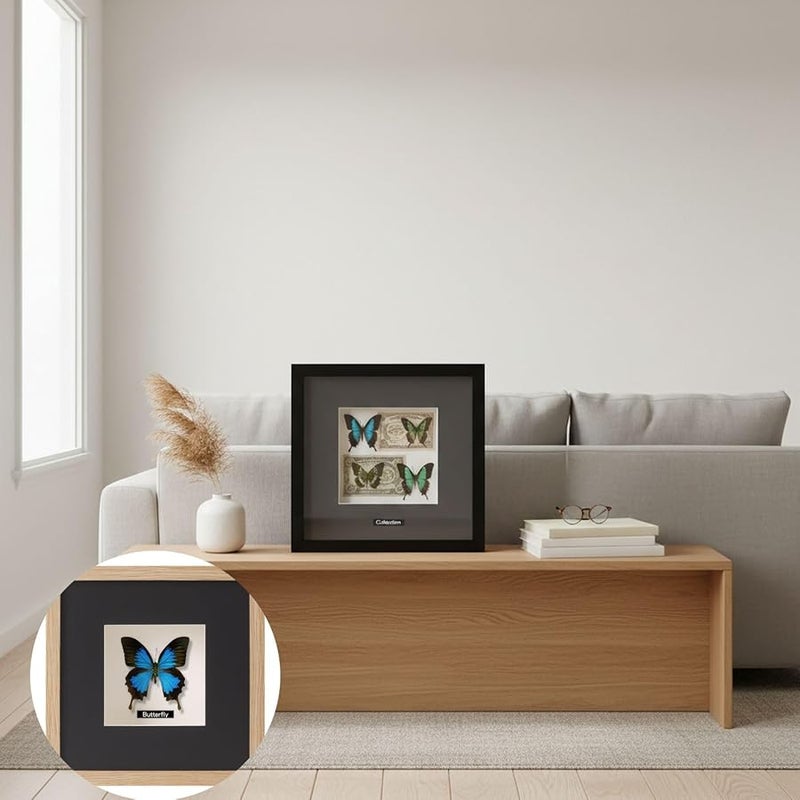 حافظة عرض فراشات بلون الخشب الأصلي مقاس 3.98 × 5.98 بوصة لتزيين مجموعات هواة الجمع والمكاتب المنزلية - Image 3