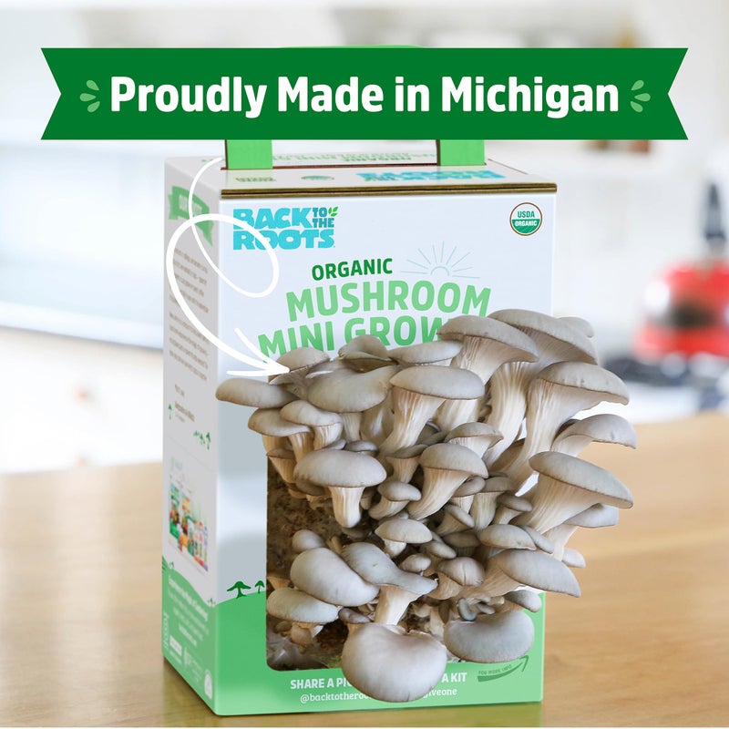 Back to the Roots Back to the Roots Organic Mini Mushroom Grow Kit, Harvest Gourmet Oyster Mushrooms In 10 days, Top Gardening Gift, Holiday Gift, & Unique Gift  - Image 4
