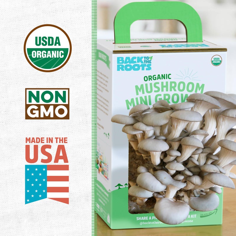 Back to the Roots Back to the Roots Organic Mini Mushroom Grow Kit, Harvest Gourmet Oyster Mushrooms In 10 days, Top Gardening Gift, Holiday Gift, & Unique Gift  - Image 2