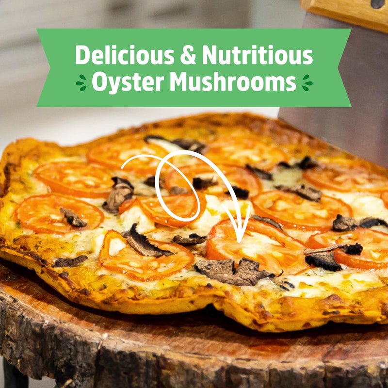 Back to the Roots Back to the Roots Organic Mini Mushroom Grow Kit, Harvest Gourmet Oyster Mushrooms In 10 days, Top Gardening Gift, Holiday Gift, & Unique Gift  - Image 5